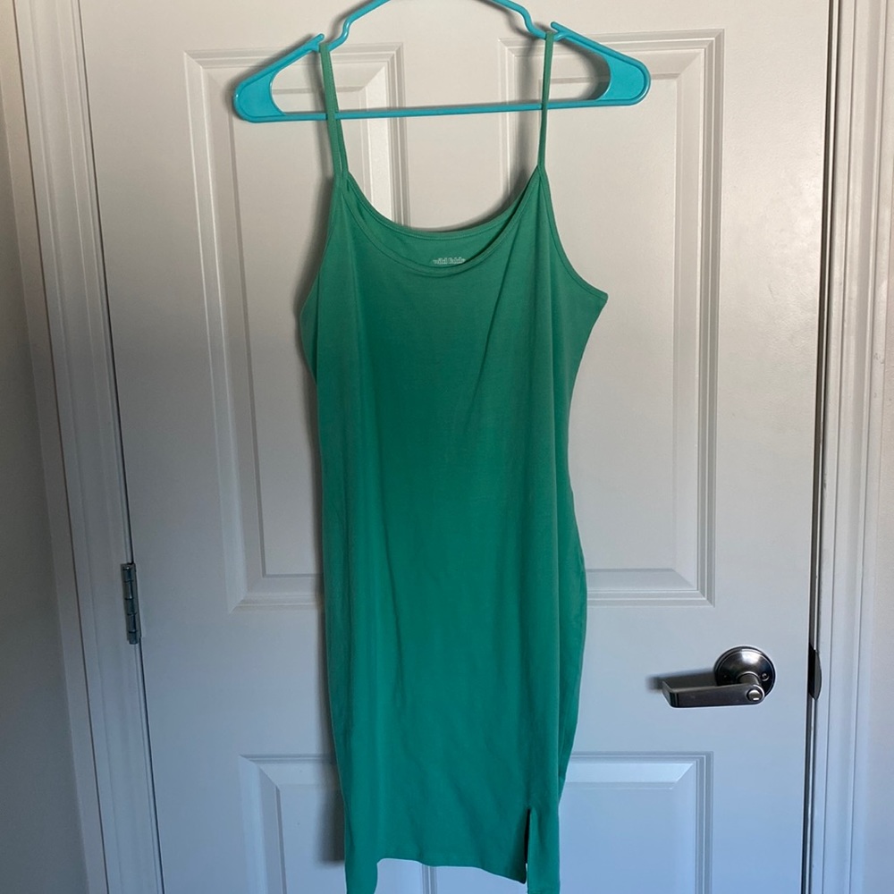 Wild Fable XXL dress